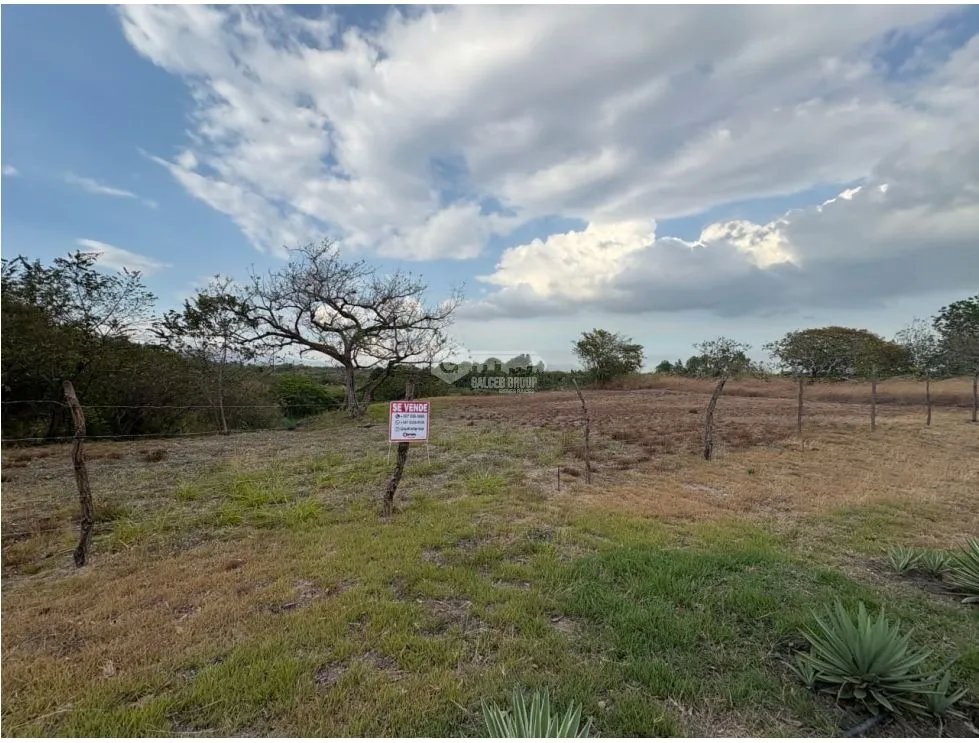 Building Lot for sale in San Carlos