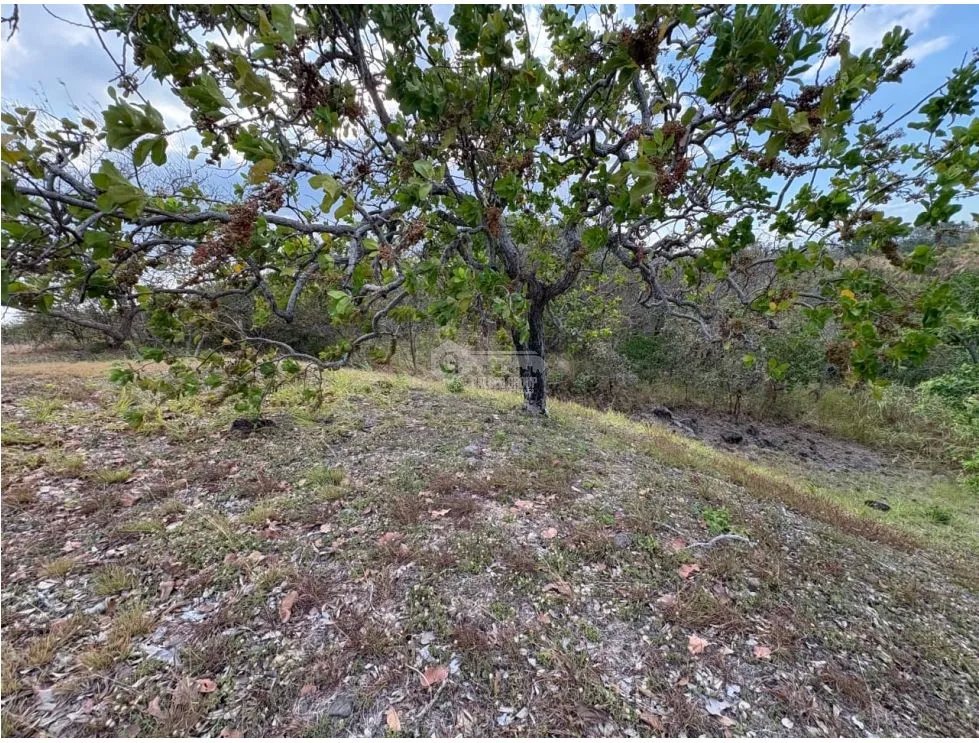 Building Lot for sale in San Carlos