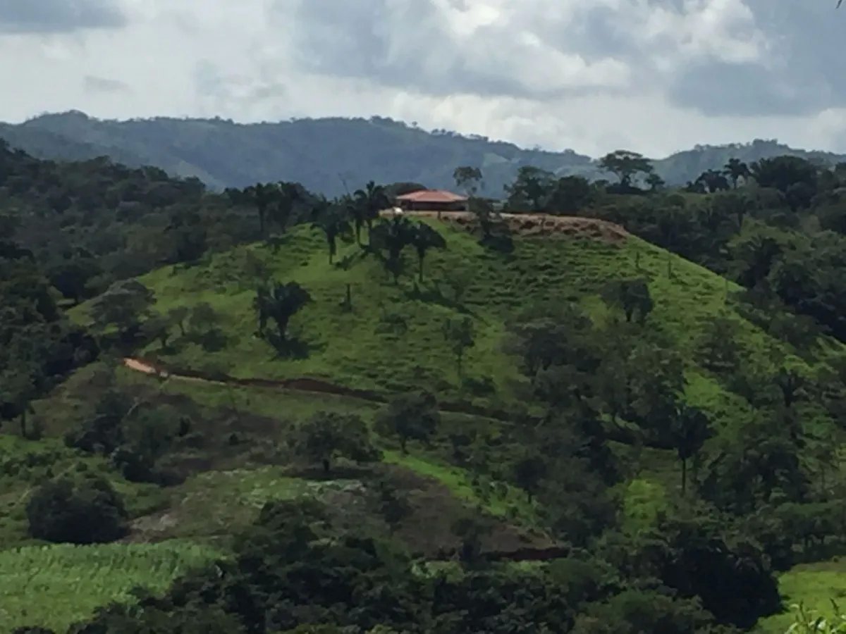 Venta de Finca en Cative, Veraguas