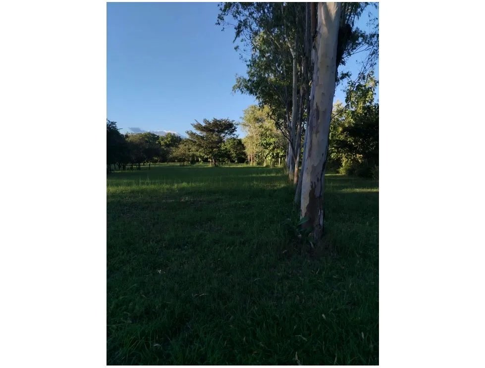 Land/Farm for sale in Coronado