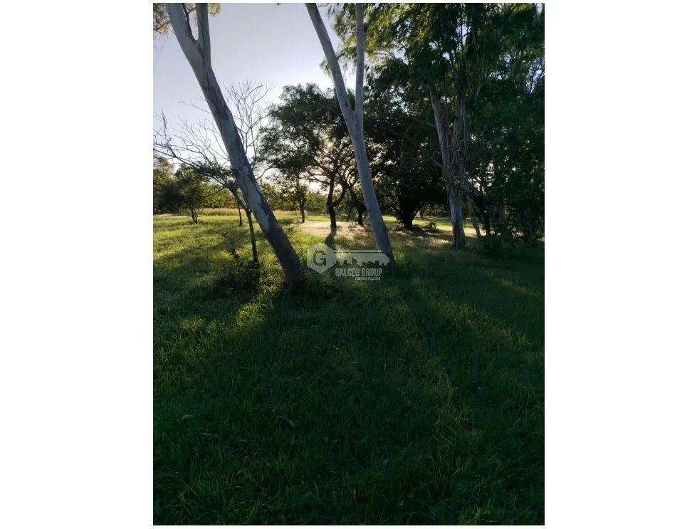 Land/Farm for sale in Coronado