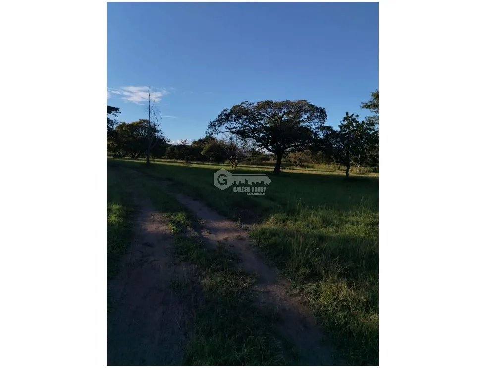 Land/Farm for sale in Coronado