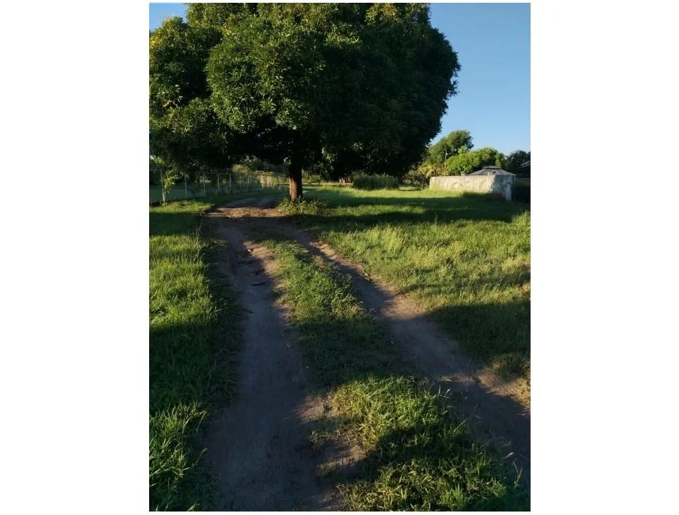 Land/Farm for sale in Coronado