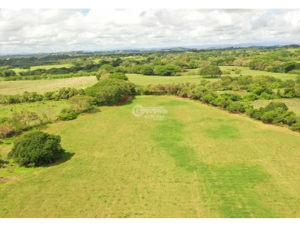 Land/Farm for sale in Herrera