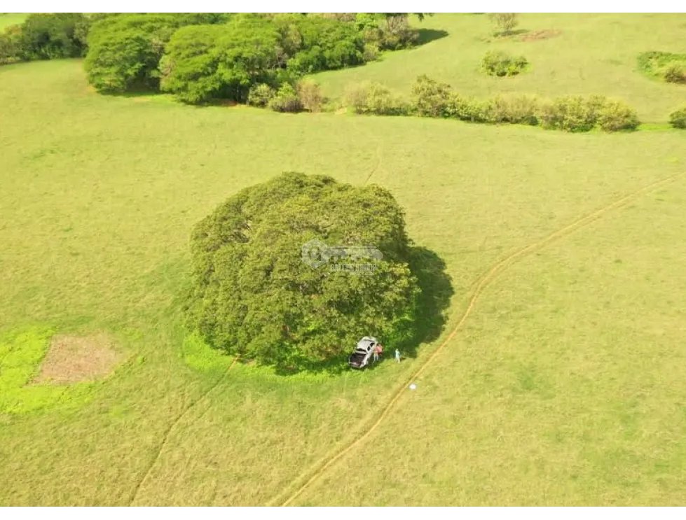 Building Lot for sale in Herrera