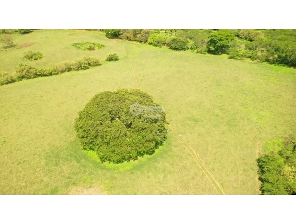 SE VENDE TERRENO TITULADO DE 13 HECTÁREA EN PARITA DE HERRERA