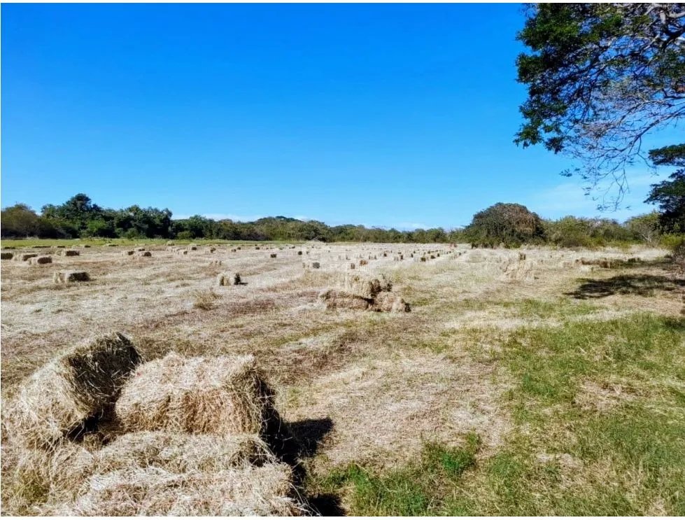 SE VENDE TERRENO TITULADO DE 13 HECTÁREA EN PARITA DE HERRERA