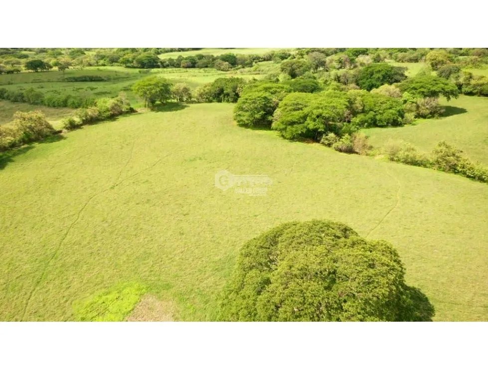 SE VENDE TERRENO TITULADO DE 13 HECTÁREA EN PARITA DE HERRERA