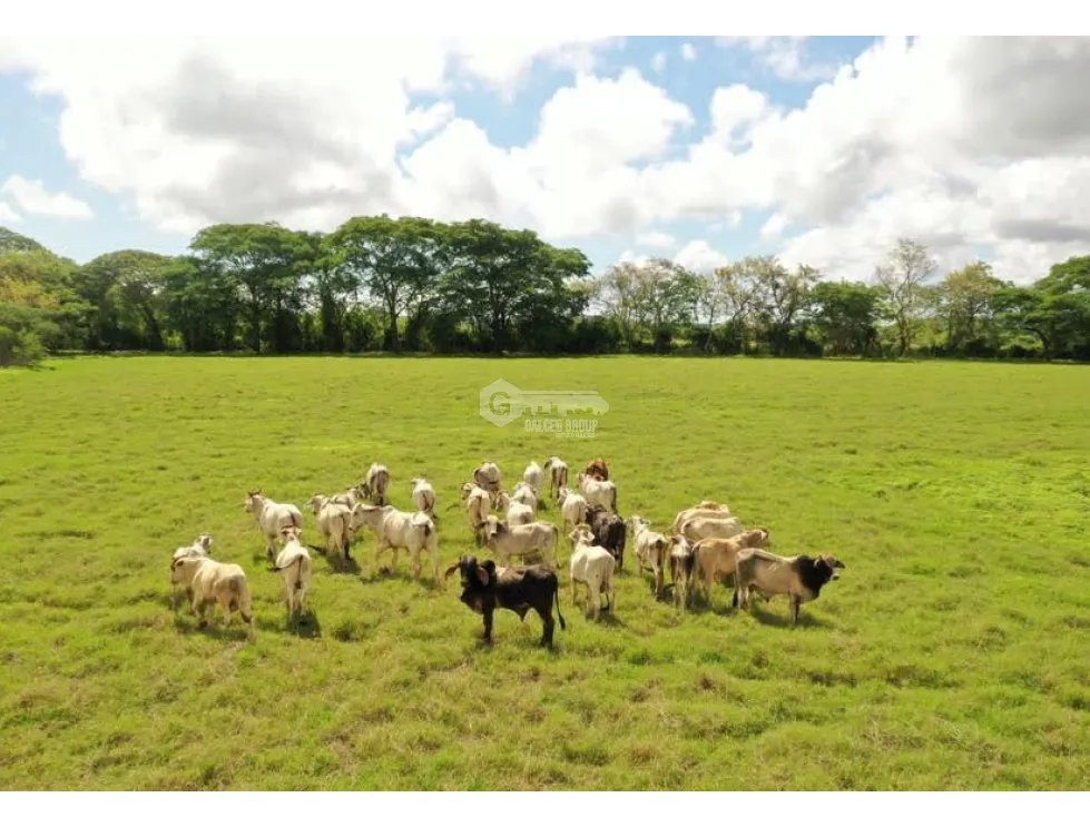 Building Lot for sale in Herrera