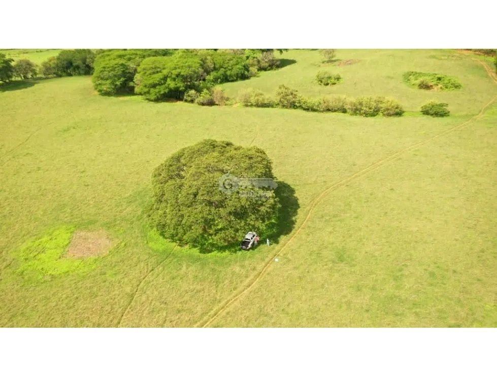 Building Lot for sale in Herrera