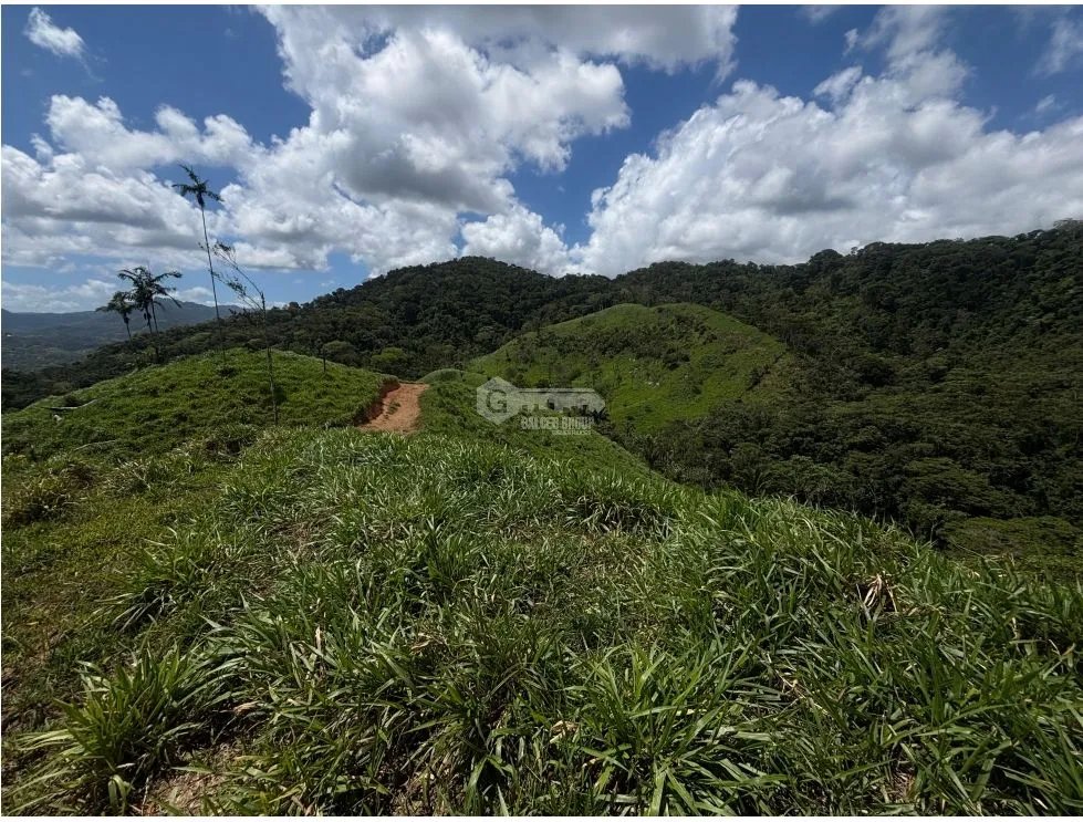 Land/Farm for sale in Capira
