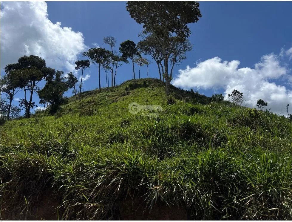 Land/Farm for sale in Capira