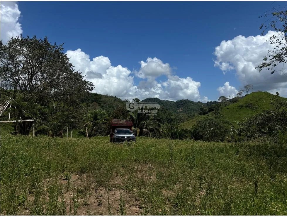 Land/Farm for sale in Capira