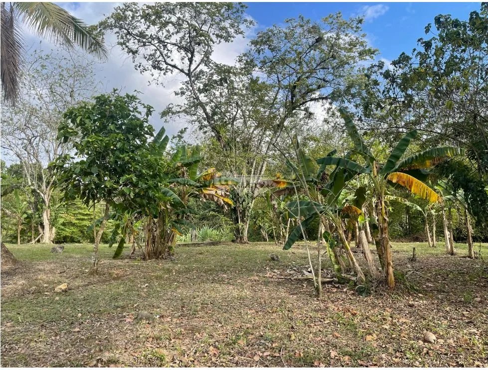Building Lot for sale in Panama