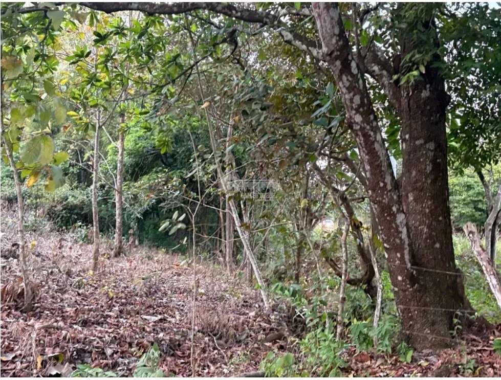 Building Lot for sale in San Carlos