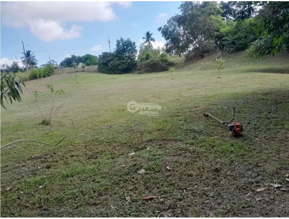Building Lot for sale in San Carlos