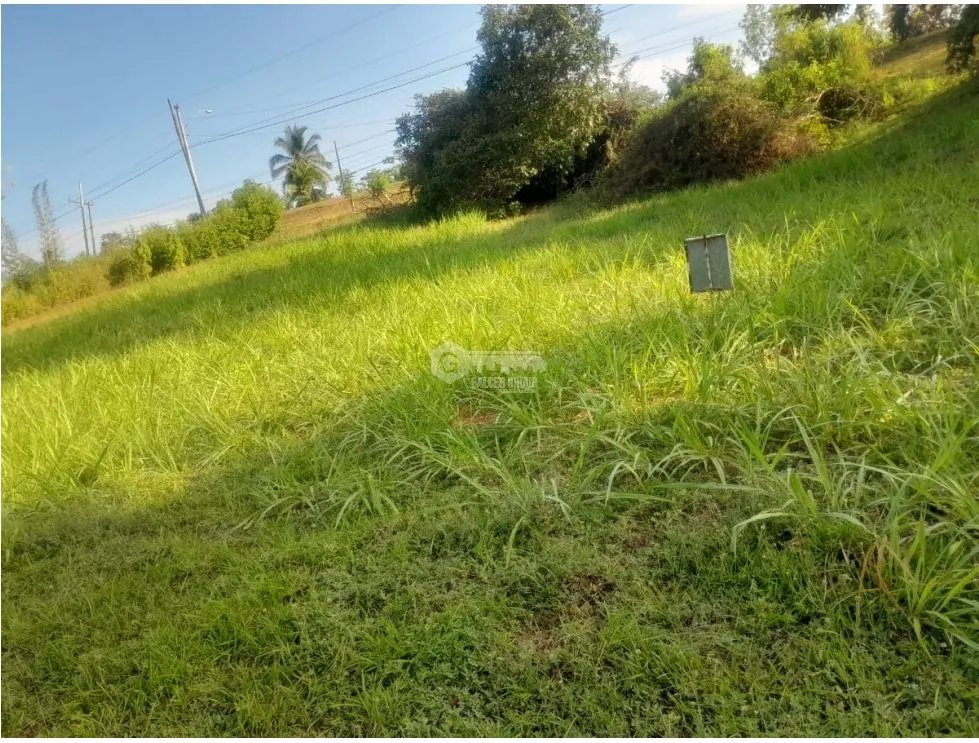 Building Lot for sale in San Carlos
