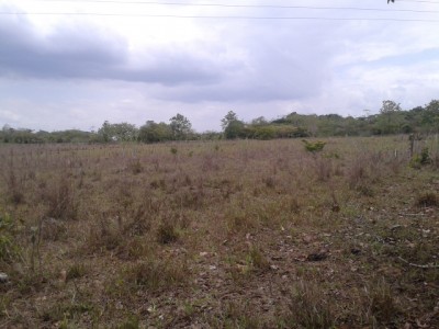 15061 - Aguadulce - fincas