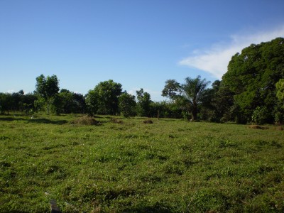 16223 - Bugaba - fincas