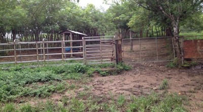 16493 - Ocú - fincas