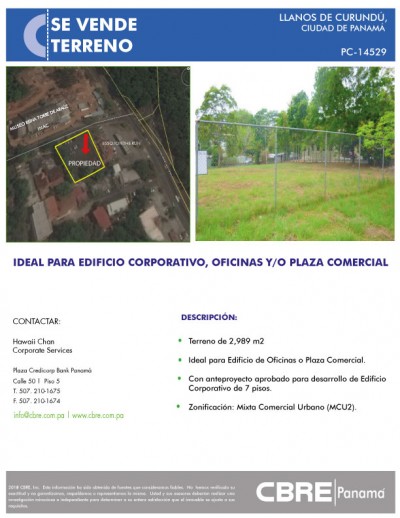 16681 - Llanos de curundu - propiedades