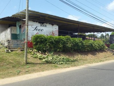 17891 - Chepo - lotes