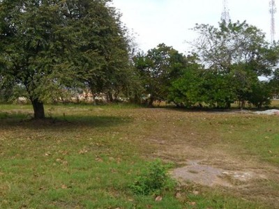 17895 - Coronado - lots