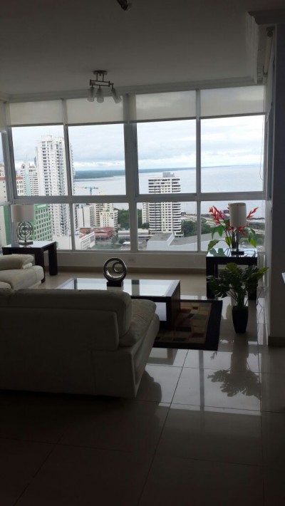 18006 - San francisco - apartamentos - mandarin bay