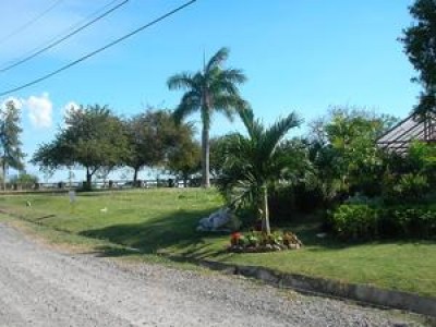 1906 - Coronado - lots