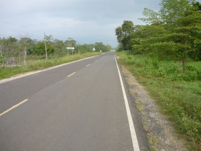 19112 - Pinogana - farms