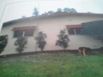 19115 - Barú - casas