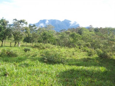 19245 - Potrerillos - propiedades
