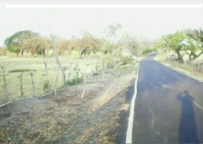 19565 - Las Tablas - lotes