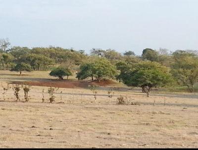 19567 - Las Tablas - farms