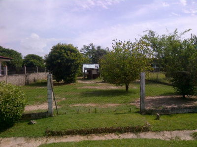 19593 - Penonomé - fincas - remates judiciales