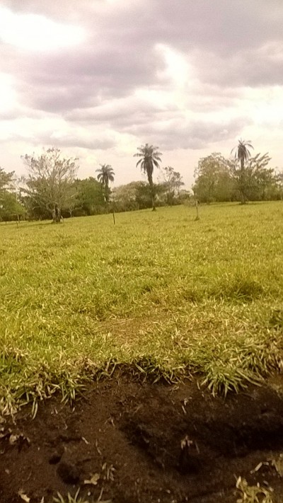 19723 - Potrerillos - farms