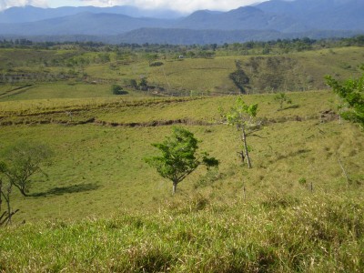 19776 - Renacimiento - fincas