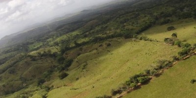 19788 - Arraiján - fincas