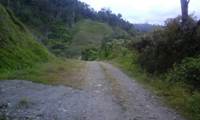 20053 - Chiriquí Grande - fincas