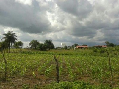 21137 - Santiago de Veraguas - fincas