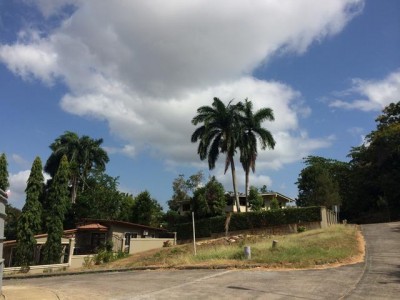 21245 - Ancon - lotes