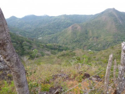 22185 - La Pintada - lotes