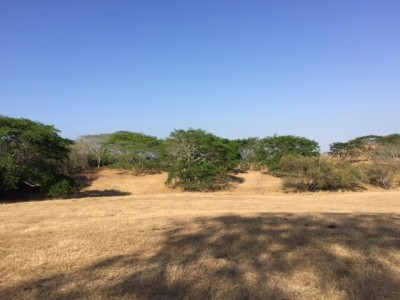 22632 - Chitré - lots