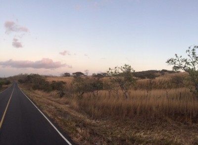 22871 - Olá - lotes