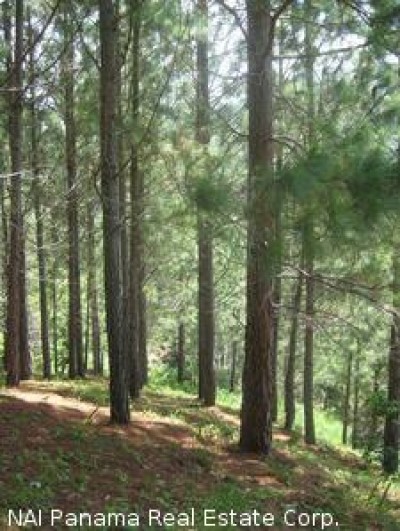 2302 - Altos del maria - lotes