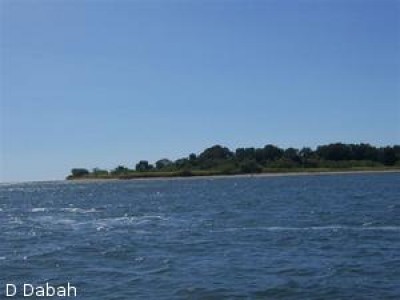 2325 - San Lorenzo - fincas