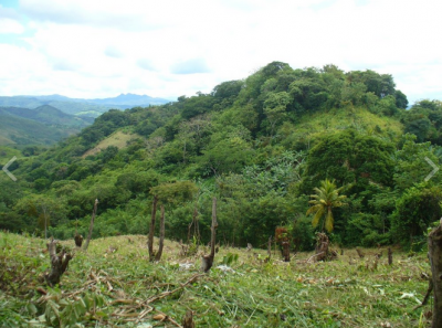 23366 - La Pintada - fincas