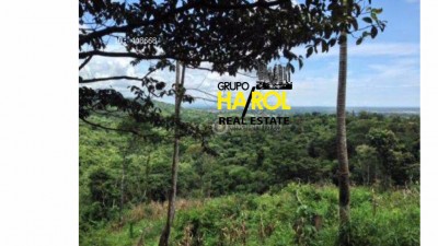 24269 - Las mañanitas - lotes