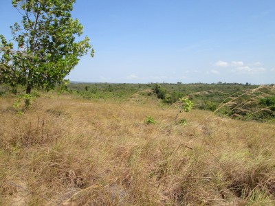 24294 - Antón - fincas