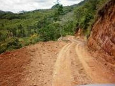 24377 - Penonomé - fincas